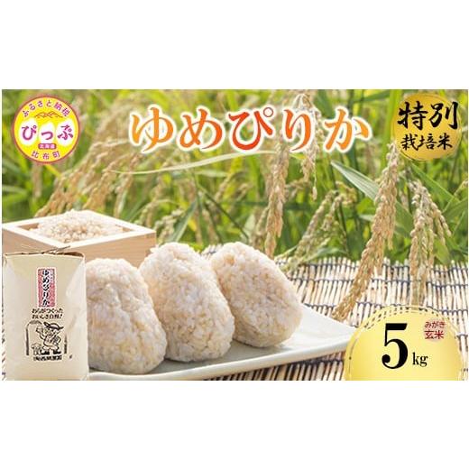 ふるさと納税 米 ゆめぴりか 北海道 比布町 令和7年産 特別栽培米 ゆめぴりか みがき玄米 5kg 西間農園 玄米 お米 米 北海道産 北海道米 特Aランク 国産 コメ …