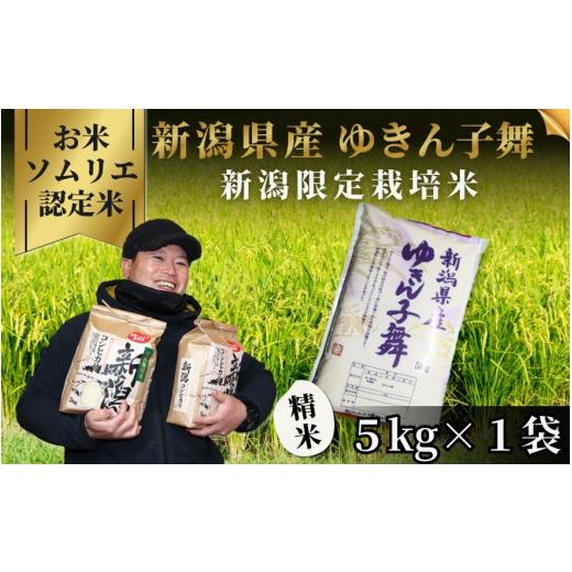 ふるさと納税 米 新潟県 五泉市 令和7年産 新米 米 5kg 五泉市産 ゆきん子舞 お米ソムリエのお米 | 白米 精米 ゆきんこまい お米 おこめ 新潟県 五泉市 エバー…