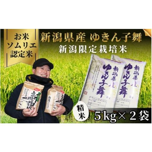 ふるさと納税 米 新潟県 五泉市 令和7年産 新米 米 10kg ( 5kg × 2袋 ) 五泉市産 ゆきん子舞 お米ソムリエのお米 | 白米 精米 お米 新潟県 五泉市 エバーグリ…