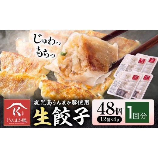 ふるさと納税 餃子 鹿児島県 さつま町 鹿児島 うんまか豚 生餃子 48個 株式会社 寺師[60日以内に出荷予定(土日祝除く)]鹿児島県 さつま町 餃子 ギョウザ 焼…