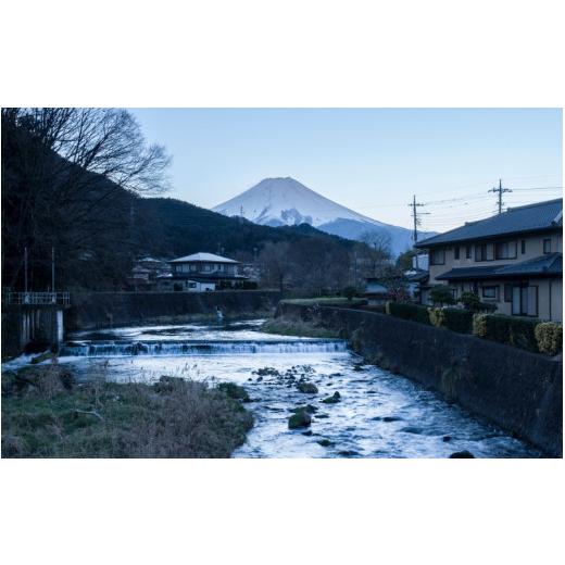 ふるさと納税 タオル・寝具 バスタオル 山梨県 西桂町 factory towel bath 今治タオル認定バスタオル モカブラウン ／ タオル 今治 織物 染物 山梨県 n0500-m…の画像
