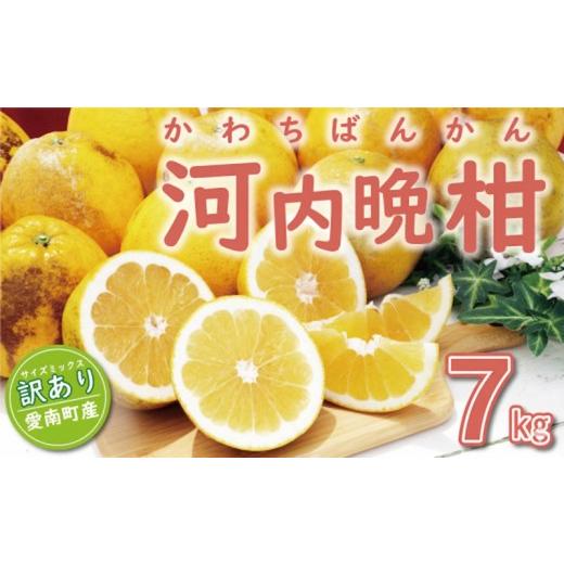 ふるさと納税 みかん・柑橘類 愛媛県 愛南町 訳あり 河内晩柑 7kg (サイズミックス) 7000円 傷み保証500g みかん かわちばんかん 愛南ゴールド あいなん ゴー…
