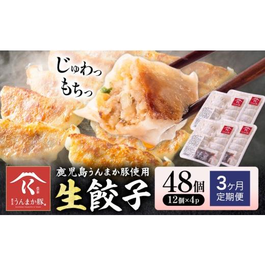 ふるさと納税 餃子 鹿児島県 さつま町 3ヶ月定期便 鹿児島 うんまか豚 生餃子 48個 株式会社 寺師[お申込みの翌月出荷]鹿児島県 さつま町 餃子 ギョウザ 焼…