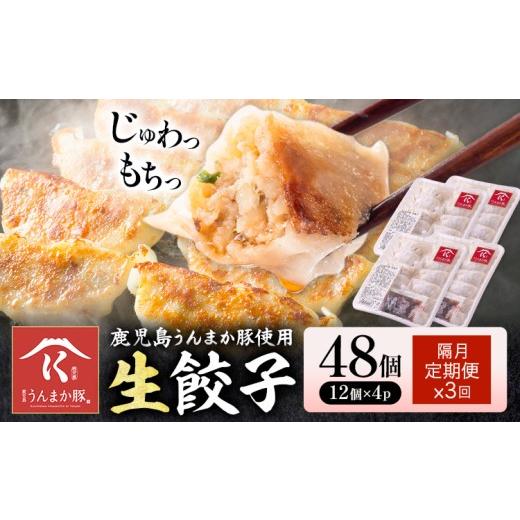 ふるさと納税 餃子 鹿児島県 さつま町 隔月定期便×3回 鹿児島 うんまか豚 生餃子 48個 株式会社 寺師[お申込みの翌月出荷]鹿児島県 さつま町 餃子 ギョウ…