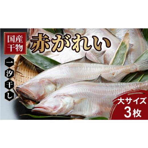ふるさと納税 干物 福井県 敦賀市 国産 干物 赤がれい 一汐干し 大サイズ 3枚セット 数量限定 福井県産 かれい カレイ 干物 一夜干し 魚介類 小分け 個包装 …