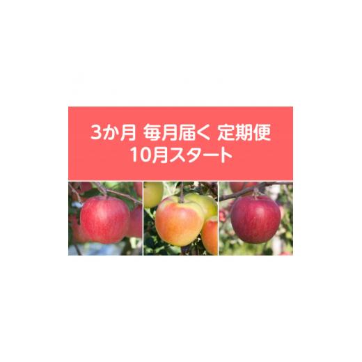 ふるさと納税 りんご 青森県 黒石市 発送月固定定期便 先行予約[2026年10月より順次発送]甘味系・青森県産りんご約3kg 全3回 4051688
