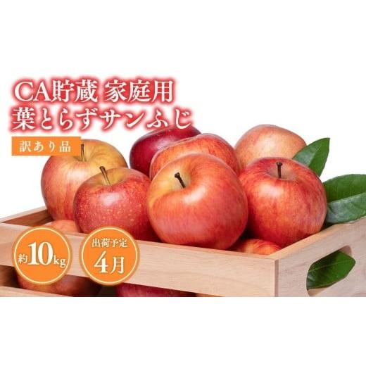 ふるさと納税 りんご 青森県 平川市 4月CA貯蔵 家庭用 葉とらずサンふじ 約10kg 訳あり 家庭用 青森県 平川市 森山商店