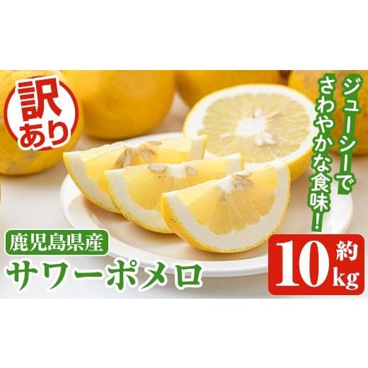 ふるさと納税 みかん・柑橘類 鹿児島県 阿久根市 先行予約受付中 2026年1月以降順次発送予定 訳ありサワーポメロ(約10kg) 国産 果物 フルーツ 柑橘 甘味 酸味…