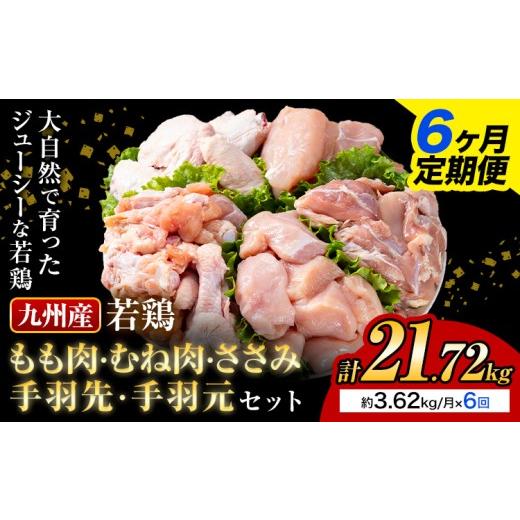 ふるさと納税 鶏肉 セット 熊本県 菊池市  6ヶ月定期便 九州産若鶏もも肉 むね肉 ささみ 手羽先 手羽元 セット 計3.62kg 鶏肉 お肉 モモ肉 ムネ肉 5種類 詰め…の画像