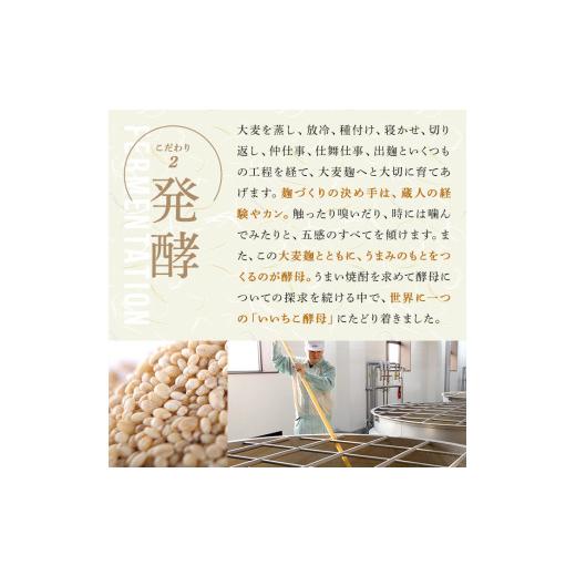 ふるさと納税 お酒 大分県 宇佐市 いいちこ 下町のハイボール缶(350ml×72本)酒 お酒 ハイボール アルコール 三和酒類 114003001 一般社団法人　地域商社USA_4