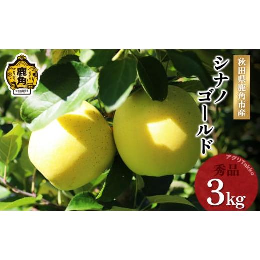 ふるさと納税 [先行予約]秋田県鹿角産りんご「シナノゴールド」秀品 約3kg[アグリTakko]●2024年11月下旬発送開始 数量限定 リンゴ 完熟 旬 県産りんご お…