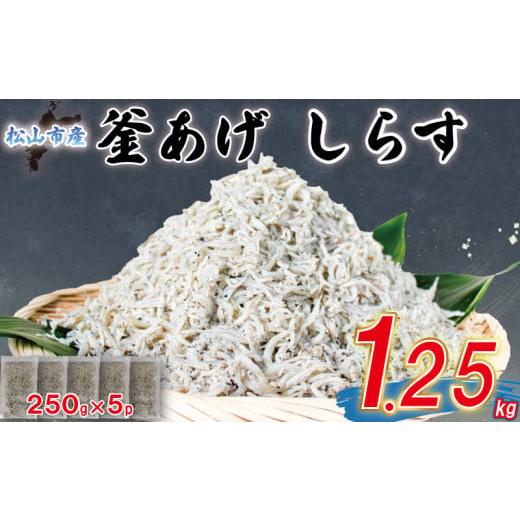 ふるさと納税 魚貝類 しらす 愛媛県 松山市 贈答用 釜揚げ しらす 約1.25kg | 冷凍 しらす しらす干し ごはんのお供 おつまみ 酒の肴 小分け 便利 簡単調理 お…