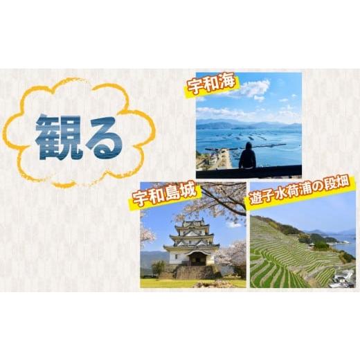 ふるさと納税 木工品・竹工品 愛媛県 宇和島市 ヒノキ 鏡餅 Kagamimochi M 53chairs 鏡もち 木製 餅 もち おもち お正月 正月 お祝い 棚飾り 正月飾り 天然素…の画像