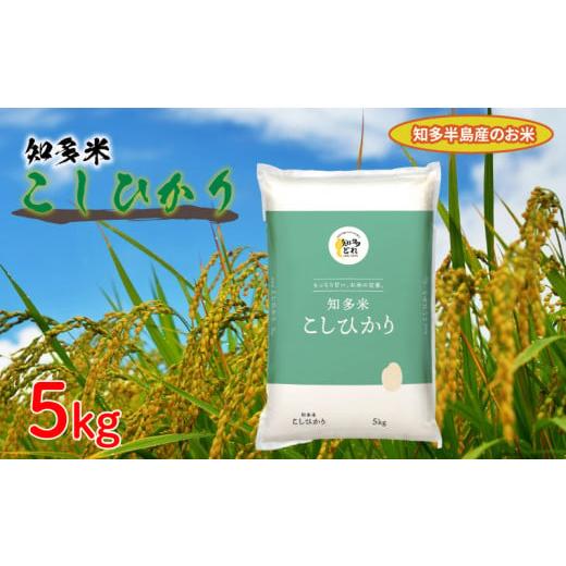 ふるさと納税 米 コシヒカリ 愛知県 南知多町 知多米 こしひかり 5kg 米 コシヒカリ こめ お米 主食 白米 人気 ふるさと納税米 ふるさと納税こめ ふるさと納税…