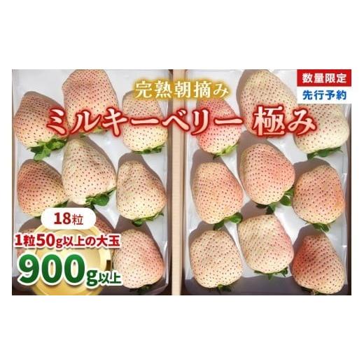 ふるさと納税 いちご 栃木県 矢板市 いちご 完熟 朝摘み ミルキーベリー 極み 18粒 2027年 先行予約