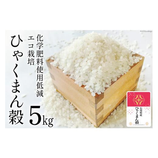 ふるさと納税 米 石川県 宝達志水町 期間限定発送 米 令和7年 ひゃくまん穀 精米 5kg みどりの波 石川県 宝達志水町 38601255 お米 こめ コメ 5キロ 白米 ひ…