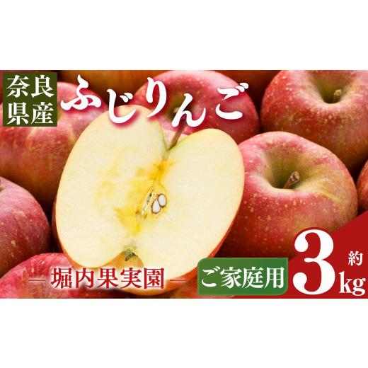 ふるさと納税 りんご 奈良県 五條市 堀内果実園 奈良県産のふじりんご 約3kg(ご家庭用) ? フルーツ くだもの 果物 りんご 林檎 リンゴ ふじりんご おすすめ…
