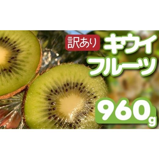 ふるさと納税 果物類 愛知県 南知多町 先行予約 12月上旬~順次発送 訳あり キウイフルーツ 960g 腸活 グリーンキウイ 健康 甘い キウイ フルーツ 無選別 みつ…