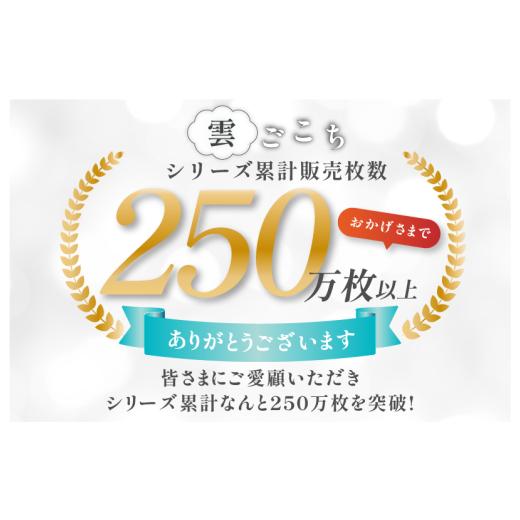 ふるさと納税 タオル・寝具 フェイスタオル 愛媛県 今治市 （今治タオルブランド認定）雲ごこち フェイスタオル 2枚セット(グレー) IA05010FT2GY ふわふわ ふ…の画像