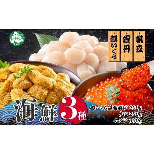 ふるさと納税 ウニ 北海道 弟子屈町 3611.うに100g×2 鱒いくら醤油漬け100g×2 ホタテ300g 3種 セット ウニ 雲丹 鱒 イクラ 醤油漬け ほたて 帆立 海鮮 冷凍 …