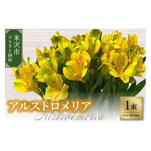 ふるさと納税 雑貨・日用品 花 山形県 米沢市 アルストロメリア 1束 ( 10本 入り ) 〔 イエロー系 〕 花 生花 イエロー系