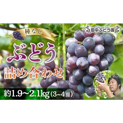 ふるさと納税 果物類 ぶどう 大阪府 河内長野市 2026年発送分 先行予約受付中 シャインマスカットと大粒ぶどう詰め合わせ 約1.9~2.1kg(3〜4房)シャインマ…