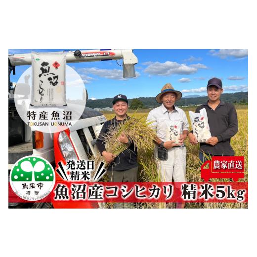 ふるさと納税 米 コシヒカリ 新潟県 魚沼市   令和8年産 新米先行受付 農家直送 魚沼産 コシヒカリ 精米 5kg ( 米 こしひかり お米 こめ コメ …