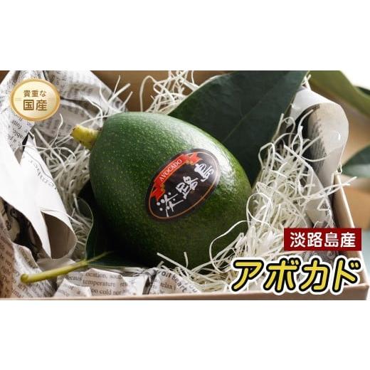 ふるさと納税 野菜類 兵庫県 淡路市 淡路島産 アボカド