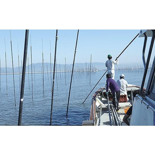 ふるさと納税 魚貝類 のり 佐賀県 佐賀市 定期便（3回）1・5・9月発送 初摘み佐賀のり 焼のり手巻き三昧セットC：B565-002_4