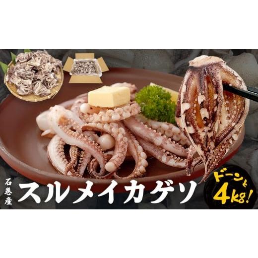 ふるさと納税 イカ 宮城県 石巻市 いか [ 訳あり ]配送時期指定なし 宮城県産 スルメイカ ゲソ 4kg 冷凍 国産 スルメイカ いか 下足 イカ イカゲソ カルパッ…