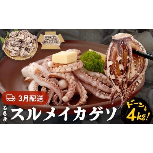 ふるさと納税 イカ 宮城県 石巻市 3月配送 いか [ 訳あり ]宮城県産 スルメイカ ゲソ 4kg 冷凍 国産 スルメイカ いか 下足 イカ イカゲソ カルパッチョ お…