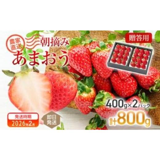 ふるさと納税 いちご 福岡県 大木町 朝摘みあまおう 800g 2026年2月中順次出荷予定 BD01-2 800g(400g×2) 2月中発送予定