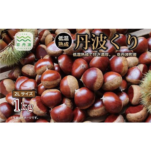 ふるさと納税 果物類 栗 京都府 京丹波町 数量限定 丹波くり とれたて 500g 京都 京丹波町産 栗 大粒 和栗 国産栗 地域限定 丹波栗 くり 栗 栗ご飯 北海道・…