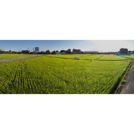 ふるさと納税 美容 神奈川県 海老名市 LinoLino美容液シャンプー 300mL\u0026トリートメント 300gセット シャンプー トリートメント 神奈川県 海老名市の画像