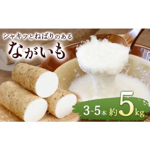 ふるさと納税 人参・大根・他根菜 長野県 塩尻市 ながいも 約 5kg(3本〜6本) | ながいも 野菜 やさい やまいも 長芋 長いも とろろ 粘り お好み焼き ねばね…