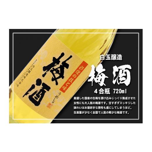 ふるさと納税 牛肉 ステーキ 鹿児島県 錦江町 TK-133-1 3ヶ月定期便 A4等級以上 鹿児島黒牛サーロインステーキ＆魔王＆梅酒　Bセット_5