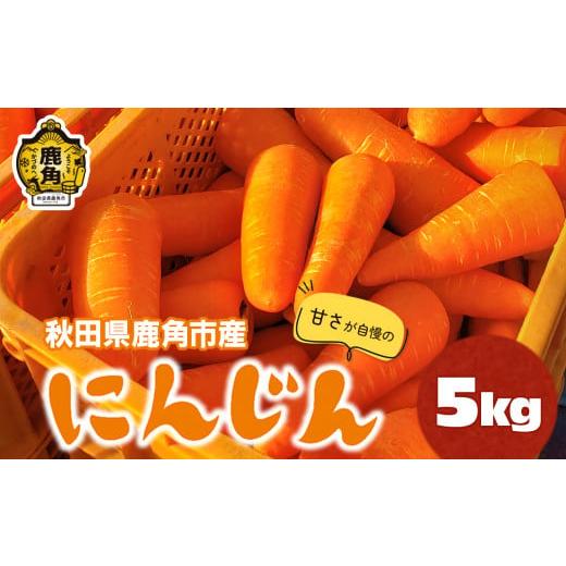 ふるさと納税 野菜類 人参 秋田県 鹿角市 [先行予約]秋田県鹿角産「にんじん」5kg 鏡田ファーミング ●2026年3月発送開始 人参 甘い 秋田県 鹿角市 国産 野…