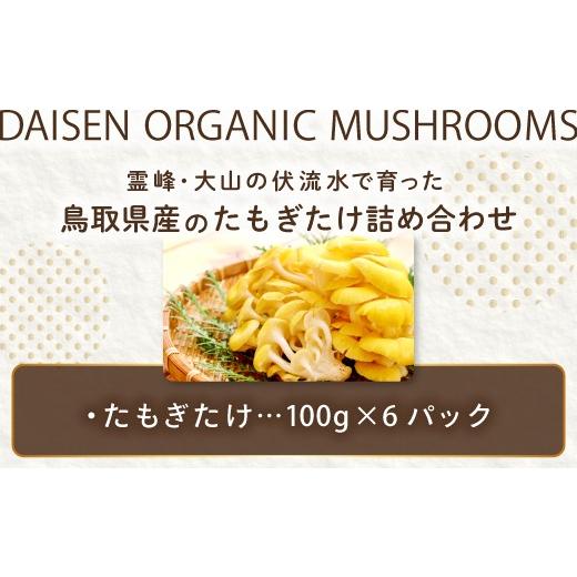 ふるさと納税 野菜類 きのこ 鳥取県 日吉津村 オーガニック菌床たも