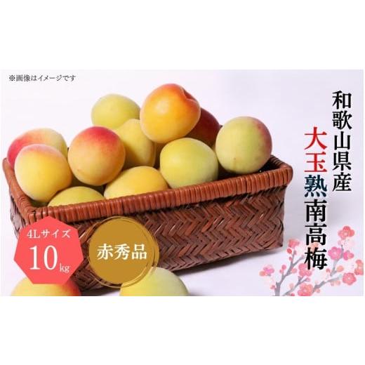 ふるさと納税 加工品等 梅干 和歌山県 すさみ町 先行予約 梅干・梅酒用 大玉4Lサイズ約10kg熟南高 生梅 赤秀品 2026年6月上旬〜7月7日発送予定 ART02 フルー…_1