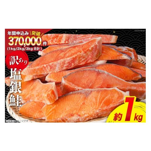 ふるさと納税 魚貝類 鮭 宮城県 気仙沼市 訳あり 銀鮭 切身 約1kg 宮城東洋 宮城県 気仙沼市 20564663 鮭 海鮮 規格外 不揃い さけ サケ 鮭切身 シャケ 切り身…