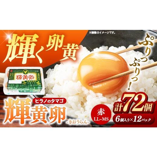 たまごの君さま専用 ふるさと納税 卵（鶏、烏骨鶏等） 福岡県 筑前町 ヒラノのたまご 輝黄