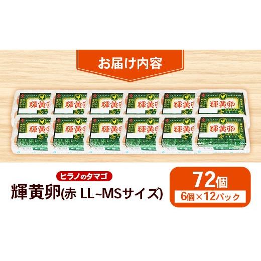 ふるさと納税 卵（鶏、烏骨鶏等） 福岡県 筑前町 ヒラノのタマゴ 輝黄