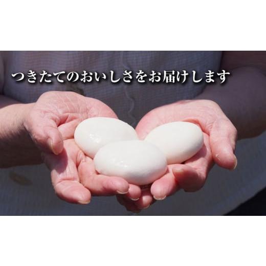 ふるさと納税 米・パン 餅 長崎県 大村市  大正創業の老舗菓子屋からお届け 東島製菓の杵つき餅 500g×2袋 1kg 約25個 ／ パック おもち もち ／ 大村市 ／ 東…_5