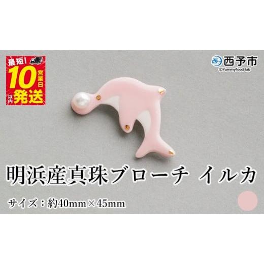 ふるさと納税 アクセサリー 愛媛県 西予市 保証書付 明浜産 真珠ブローチ イルカ(桃色) 8.0〜8.5mm 純国産 高品質 アコヤ真珠 宇和海 パール アクセサリー …
