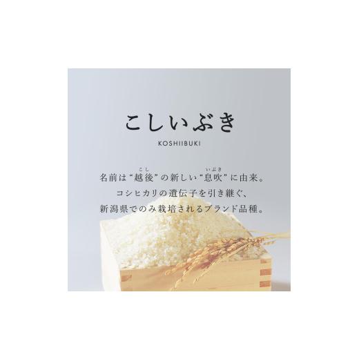 ふるさと納税 米 新潟県 見附市 令和7年産 新潟県産 こしいぶき 10kg 精米 お米 白米 おすすめ 人気 こめ コメ 新潟 見附 見附市 7年 2025年産 ふるさと納税 …_2