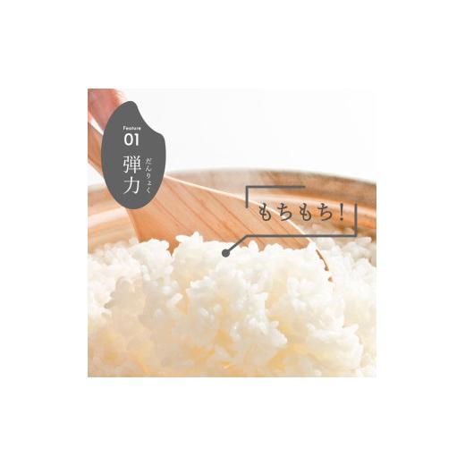 ふるさと納税 米 新潟県 見附市 令和7年産 新潟県産 こしいぶき 10kg 精米 お米 白米 おすすめ 人気 こめ コメ 新潟 見附 見附市 7年 2025年産 ふるさと納税 …_3