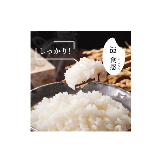 ふるさと納税 米 新潟県 見附市 令和7年産 新潟県産 こしいぶき 10kg 精米 お米 白米 おすすめ 人気 こめ コメ 新潟 見附 見附市 7年 2025年産 ふるさと納税 …_4
