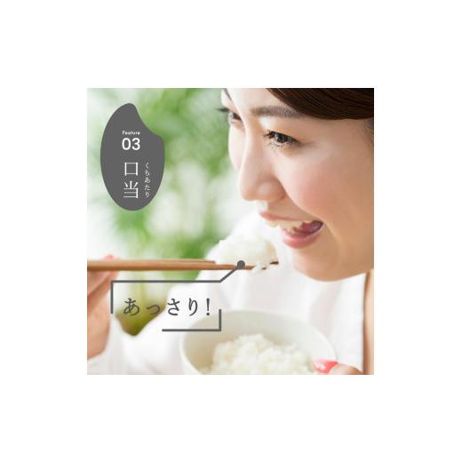 ふるさと納税 米 新潟県 見附市 令和7年産 新潟県産 こしいぶき 10kg 精米 お米 白米 おすすめ 人気 こめ コメ 新潟 見附 見附市 7年 2025年産 ふるさと納税 …_5