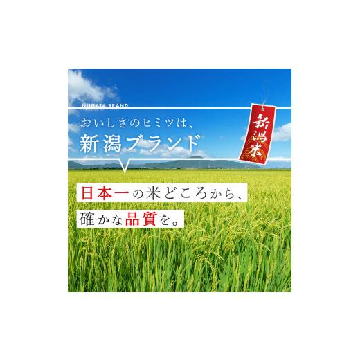 ふるさと納税 米 新潟県 見附市 令和7年産 新潟県産 こしいぶき 10kg 精米 お米 白米 おすすめ 人気 こめ コメ 新潟 見附 見附市 7年 2025年産 ふるさと納税 …_7