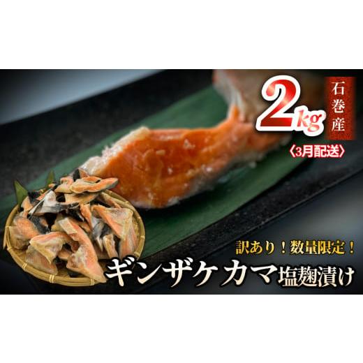 ふるさと納税 魚貝類 鮭 宮城県 石巻市 3月配送 鮭 訳あり / 限定 国産 銀鮭 カマ 塩麹漬け 2kg 冷凍 不揃い 家庭用 鮭 さけ サーモン 焼魚 惣菜 魚 カマ シ…